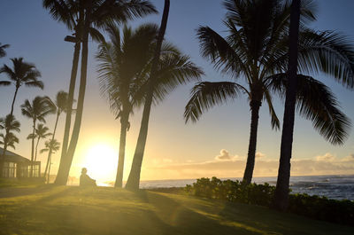 Scenic view of palm trees at beach during sunset