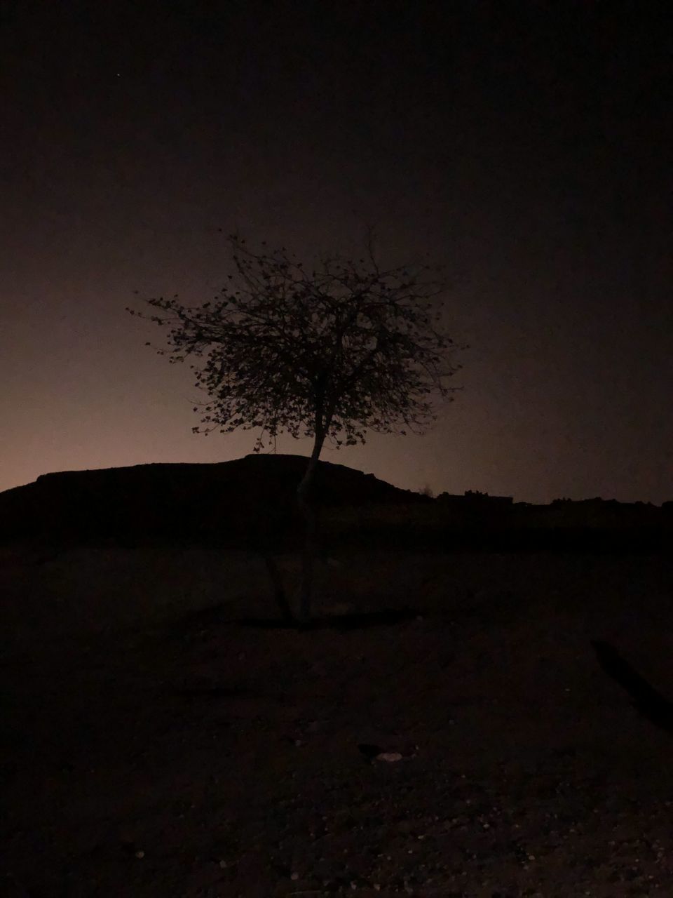 darkness, tree, plant, silhouette, light, nature, night, no people, sky, dark, beauty in nature, outdoors, black, tranquility, fog, tree trunk, moonlight, low angle view, trunk