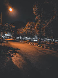 Illuminated street by trees against sky at night