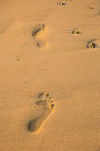 High angle view of footprints on beach