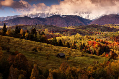 Scenic view of landscape against sky during autumn