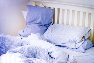 Cat lying on bed