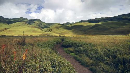 Scenic view of field against sky