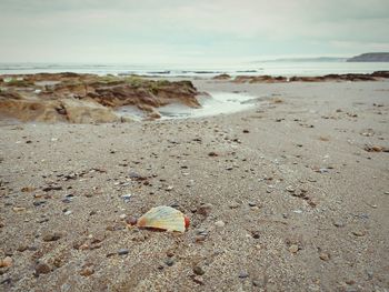 Surface level of sandy beach against sky