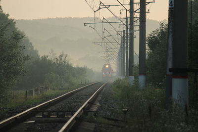 Railroad tracks by trees during foggy weather