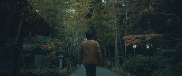 Rear view of man walking in forest