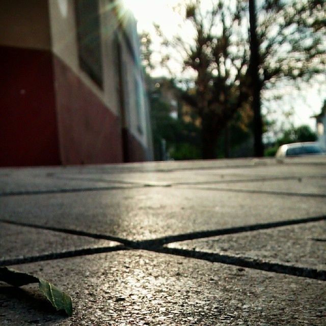 focus on foreground, built structure, building exterior, selective focus, architecture, surface level, close-up, sunlight, day, street, sidewalk, outdoors, no people, tree, window, shadow, nature, city, footpath, wet