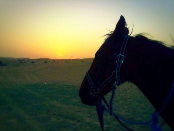 Scenic view of sunset sky