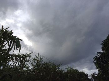 Silhouette of trees against cloudy sky