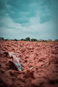 Surface level of field against sky