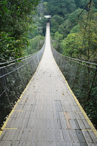 Footbridge amidst trees in forest