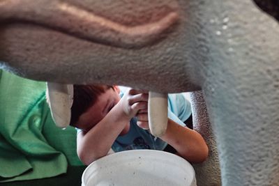 Close-up of boy learning milking artificial cow at farm