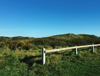 Scenic view of landscape against clear blue sky