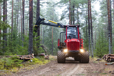 Forest machine working in forest