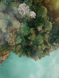 High angle view of plants by lake against sky