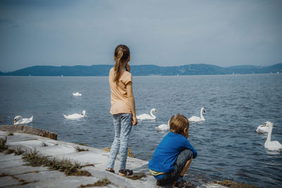 Rear view of siblings looking at swans swimming on lake