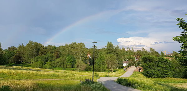 Rainbow over road amidst trees against sky