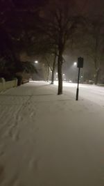 Snow covered road along trees at night