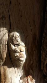 Close-up of rock formation