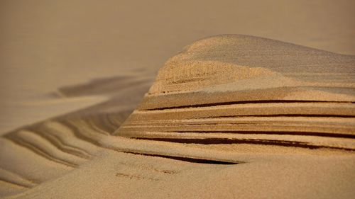 Close-up of sand dunes at beach