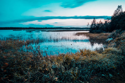 Scenic view of lake against sky