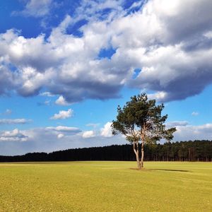 Scenic view of field against cloudy sky