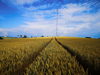 Scenic view of agricultural field against sky