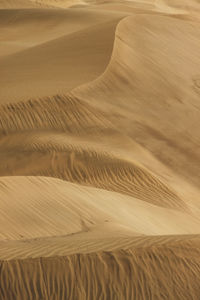 Scenic view of sand dunes at desert