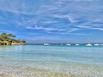 Sailboats in sea against blue sky