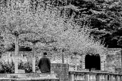 Rear view of man walking on tree