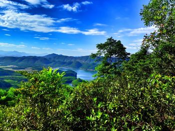Scenic view of trees and mountains against sky