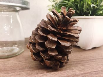 Close-up of pine cone on table