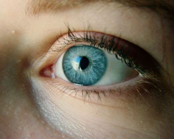 Close-up of human eye