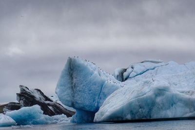 Glacier on sea