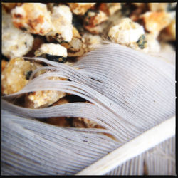 Close-up of wood