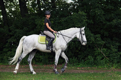 Side view of woman riding horse against tree