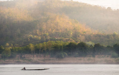 Scenic view of lake by trees in forest