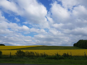 Scenic view of field against sky