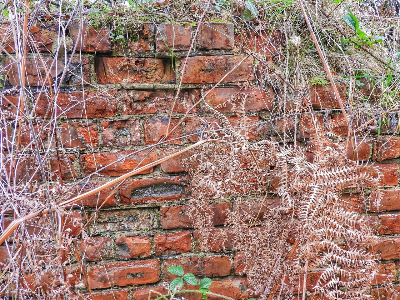 full frame, backgrounds, no people, close-up, outdoors, complexity, architecture, day, sky