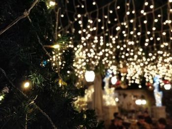 Illuminated christmas tree at night