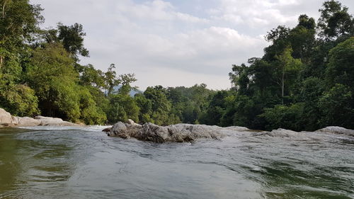 Scenic view of river by trees against sky
