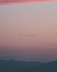 Silhouette birds flying in the sky