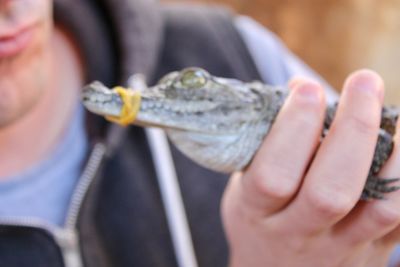 Man holding crocodile outdoors