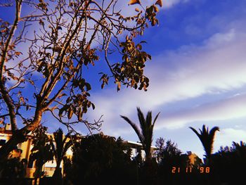 Low angle view of silhouette trees against sky