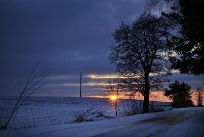 Silhouette trees on snow covered land against sky during sunset