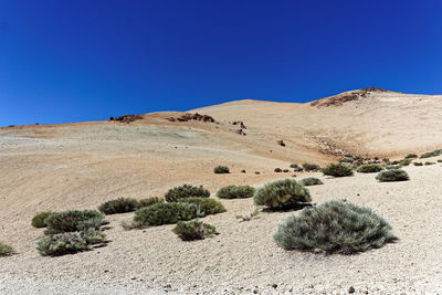 Scenic view of desert against clear blue sky