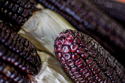 Full frame shot of fruit