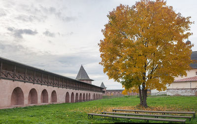 Trees on field against sky during autumn