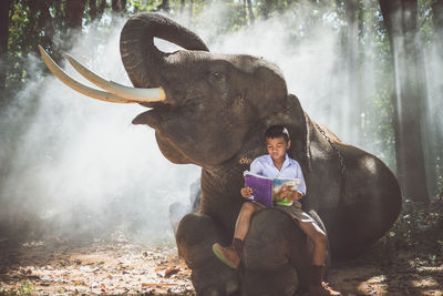 Boy studying while sitting on elephant in forest