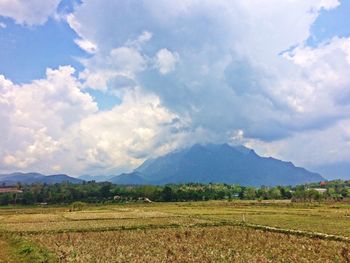 Scenic view of field against sky